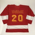 CCCP RUSSIA Russian Olympic 20 HOCKEY JERSEY Vladislav Tretiak Goalie
