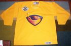 STITCHED Very Rare AUTHENTIC CCM Vintage ATLANTA THRASHERS Practice JERSEY XL l