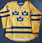 Buffalo Sabres Sweden Custom Hockey Jersey Dahlin Large