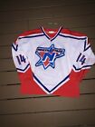 Vintage North Stars hockey jersey 14