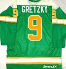 VINTAGE WAYNE GRETZKY NSE BRANTFORD NADROFSKY STEELERS SANDOW SK HOCKEY JERSEY
