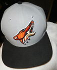 Phoenix Coyotes Blue Silver NHL New Era 59Fifty SnapBack hatcaprare hockey
