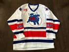 Toronto Toros WHA Retro Throwback Jersey Sewn Mens M