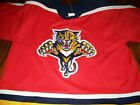 Vintage Mens CCM Florida Panthers replica jersey Large