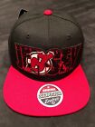 Zephyr NHL New Jersey Devils Arena Exclusive Billboard flat bill SnapBack hat