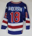 ANDERSON 18 VINTAGE ATLANTA FLAMES ICE HOCKEY JERSEY K1 YOUTHS SMALL RARE