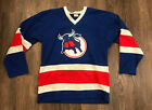 1970s Birmingham Bulls Toronto Toros WORLD HOCKEY WHA JERSEY RARE Sz LG New Old