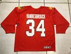 Rare Vintage CCM Florida Panthers John Vanbiesbrouck NHL Jersey Mens Large