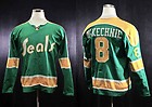 1972 73 California Golden Seals Walt McKechnie Original Game Used Road Jersey