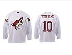 Custom Phoenix Coyotes Hockey Jersey Shirt All Sizes Adult And Youth Any Quanity
