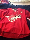 Reebok Phoenix Coyotes Shane Doan Jersey