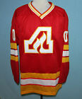 CUSTOM NAME   ATLANTA FLAMES RETRO HOCKEY JERSEY 1972 NEW SEWN ANY SIZE