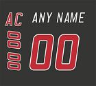 Carolina Hurricanes Customized Number Kit for 2008 2017 3rd Jersey