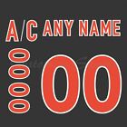 WHA Baltimore Blades Black Jersey Customized Number Kits un sewn