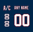 Florida Panthers 2006 07 Navy Jersey Customized Number Kit un sewn