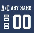 Florida Panthers 2009 12 3rd Jersey Customized Number Kit un sewn