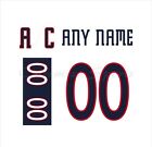 Columbus Blue Jackets 2001 16 White Jersey Customized Number Kits un stitched