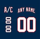 Florida Panthers 1998 2006 Navy Jersey Customized Number Kit un sewn