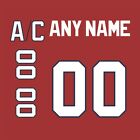 Florida Panthers 1993 98 Red Jersey Customized Number Kit un sewn