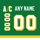 Minnesota North Stars 1975 88 Green Jersey Customized Number Kit un sewn