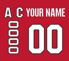 Ottawa Senators 100th Anniversary Jersey Customized Number Kit un stitched