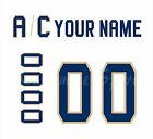 Florida Panthers Customized Number Kit for 2016 17 White Jersey