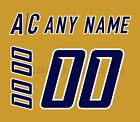 Nashville Predators Customized Number Kit for 2001 07 3rd Jersey
