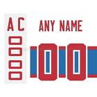 Montreal Canadiens 2016 Winter Classic Jersey Customized Number Kit un stitched