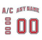 Florida Panthers 1998 2006 White Jersey Customized Number Kit un sewn