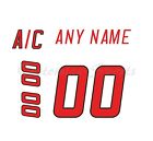 Carolina Hurricanes 1998 2000 Whit Jersey Customized Number Kits un stitched