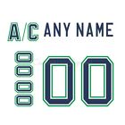 Hartford Whalers 1992 97 White Hockey Jersey Customized Number Kits un stitched