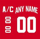 Detroit Red Wings Home Jersey Number Kit un sewn