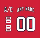 Florida Panthers 1998 2006 Red Jersey Customized Number Kit un sewn