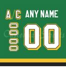 Minnesota North Stars 1988 91 Green Jersey Customized Number Kit un sewn
