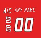 Carolina Hurricanes 1998 2000 Red Jersey Customized Number Kit un stitched