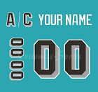 Atlanta Thrashers 1995 97 Teal Hockey Jersey Customized Number Kit un stitched