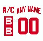 Detroit Red Wings Away Jersey Number Kit un sewn