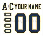 Nashville Predators Customized Number Kit for 2020 Winter Classic Jersey
