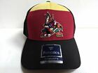 Arizona Coyotes Cap Stretch Fit 2019 Breakaway Jersey Flex Hat